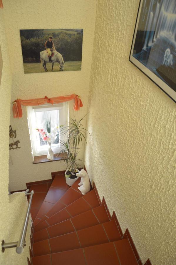 Ferienwohnung Auszeit Waxweiler 外观 照片